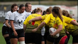 img_7094-2.jpg - JPEG - 271.5 ko - 2000×1134 px