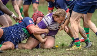 _nz85502.jpg - JPEG - 249.9 ko - 1024×587 px