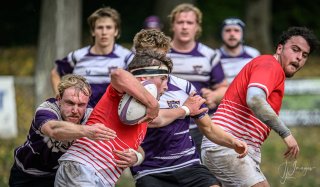 _nz86268.jpg - JPEG - 177.4 ko - 1024×598 px