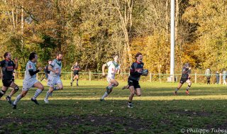 dsc08645.jpg - JPEG - 1.2 Mo - 2000×1177 px