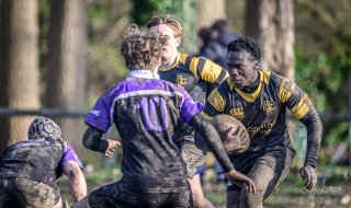 _nz88025.jpg - JPEG - 175.3 ko - 1024×607 px