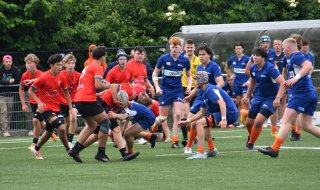 dsc_9093-2.jpg - JPEG - 439.8 ko - 2000×1185 px