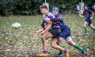 z63_4236.jpg - JPEG - 233.6 ko - 1024×611 px