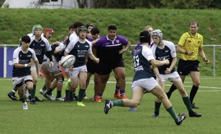 _46a2816.jpg - JPEG - 405 ko - 2000×1215 px