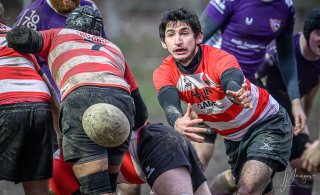 _nz87897.jpg - JPEG - 208.6 ko - 1024×623 px