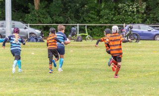 bst_asub_24_05_2025_80_.jpg - JPEG - 513.4 ko - 2000×1216 px