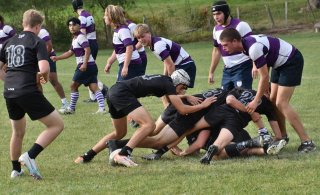 dsc_1976.jpg - JPEG - 198.4 ko - 2000×1325 px