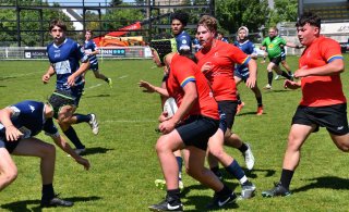 dsc_8038.jpg - JPEG - 177.4 ko - 2000×1325 px