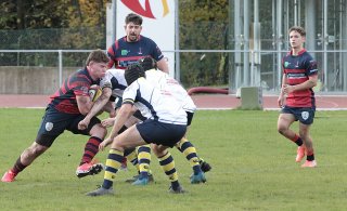 gp5f4490.jpg - JPEG - 420 ko - 2000×1214 px