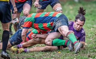 _nz85644.jpg - JPEG - 277 ko - 1024×626 px