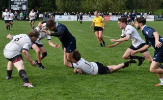 dsc_3480-5.jpg - JPEG - 706.1 ko - 2000×1325 px