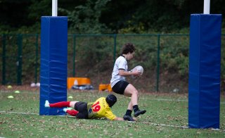 img_7164.jpg - JPEG - 329.2 ko - 2000×1225 px