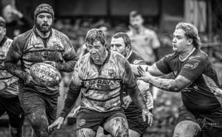 _nz87447.jpg - JPEG - 216.5 ko - 1024×632 px