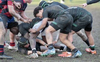 gp5f7472.jpg - JPEG - 377.4 ko - 2000×1237 px