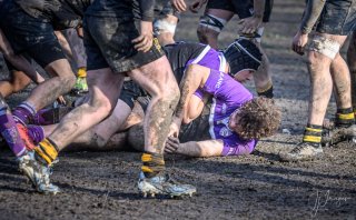 z63_7025.jpg - JPEG - 222.6 ko - 1024×632 px