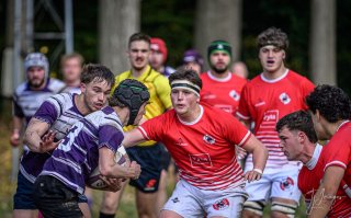 _nz86338.jpg - JPEG - 186 ko - 1024×636 px