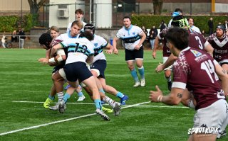 dsc_2530-2.jpg - JPEG - 650.5 ko - 2000×1240 px