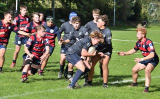 dsc_3205-4.jpg - JPEG - 296.2 ko - 2000×1324 px