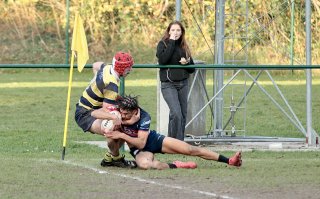 gp5f6142.jpg - JPEG - 451 ko - 2000×1243 px