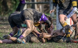 _nz88235-2.jpg - JPEG - 253.9 ko - 1024×640 px