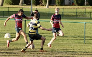 gp5f5735.jpg - JPEG - 470 ko - 2000×1251 px