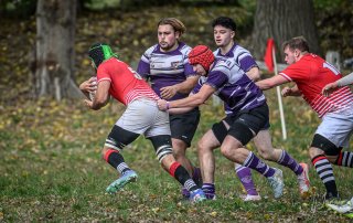 _nz86389.jpg - JPEG - 245 ko - 1024×646 px