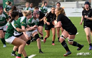 dsc_7274.jpg - JPEG - 412.9 ko - 2000×1325 px