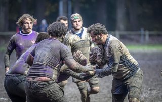 z63_6535.jpg - JPEG - 186.7 ko - 1024×646 px