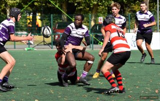 45-17.jpg - JPEG - 113.6 ko - 1000×666 px