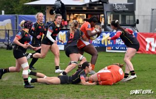 dsc_1049-2.jpg - JPEG - 239.4 ko - 2000×1145 px