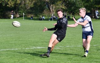 dsc_3575-3.jpg - JPEG - 442.7 ko - 2000×1267 px