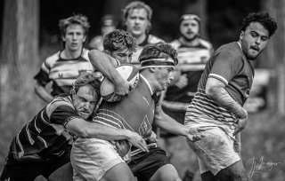 _nz86269.jpg - JPEG - 162.2 ko - 1024×652 px