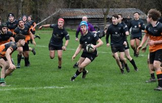 dsc_4601-4.jpg - JPEG - 196.6 ko - 2000×1325 px