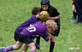 dsc_5588-2.jpg - JPEG - 524.2 ko - 2000×1269 px