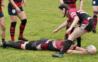 gp5f7887.jpg - JPEG - 618.8 ko - 2000×1272 px