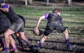 z63_6977.jpg - JPEG - 210.9 ko - 1024×652 px