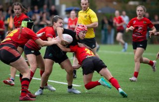 img_7355.jpg - JPEG - 373.8 ko - 2000×1277 px