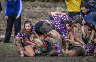 _nz88518.jpg - JPEG - 253.1 ko - 1024×659 px