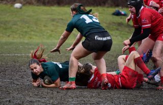 img-20260131-wa0057.jpg - JPEG - 254.3 ko - 1500×964 px