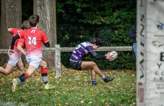 _nz86364.jpg - JPEG - 237.8 ko - 1024×661 px