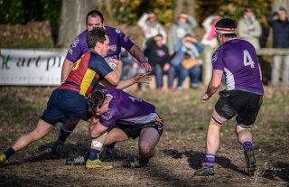 _nz86939.jpg - JPEG - 221 ko - 1024×660 px