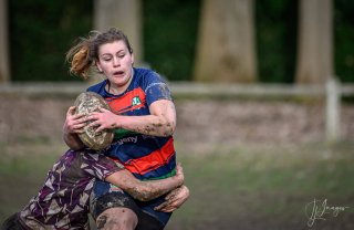 _nz88549.jpg - JPEG - 133 ko - 1024×664 px