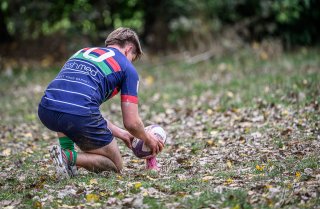 _nz85546.jpg - JPEG - 241.1 ko - 1024×666 px