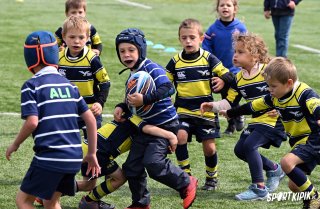 dsc_4737-2.jpg - JPEG - 716 ko - 2000×1305 px