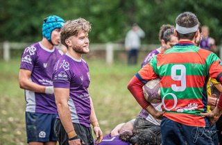 z63_4412.jpg - JPEG - 204.4 ko - 1024×666 px