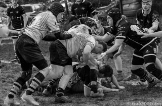 dsc06140.jpg - JPEG - 348.1 ko - 1500×983 px