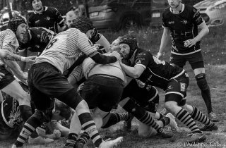 dsc06141.jpg - JPEG - 340.3 ko - 1500×983 px