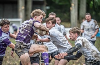 z63_4733.jpg - JPEG - 201.9 ko - 1024×672 px