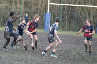 gp5f0740-2.jpg - JPEG - 524.7 ko - 2000×1314 px