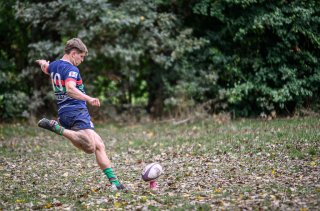 z63_4342.jpg - JPEG - 246 ko - 1024×675 px